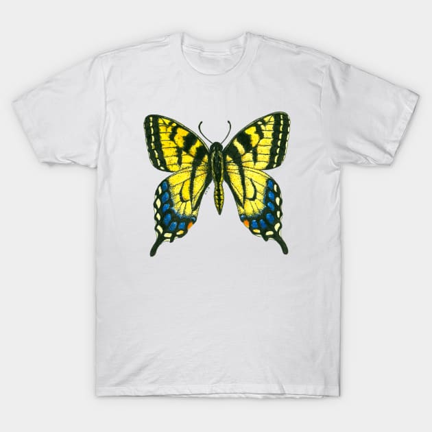 Tiger swallowtail butterfly watercolor and ink art T-Shirt by katerinamk